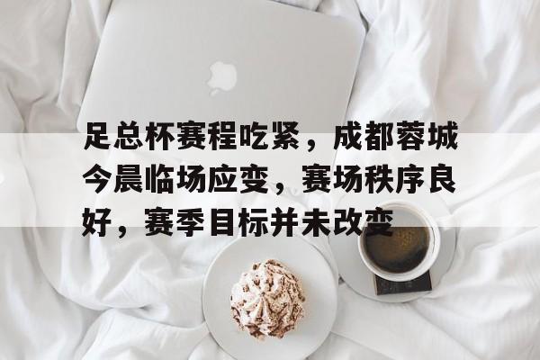 爱游戏在线- 足总杯赛程吃紧，成都蓉城今晨临场应变，赛场秩序良好，赛季目标并未改变
